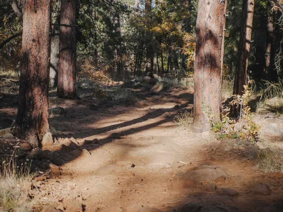 Iron Springs Connector photo 3