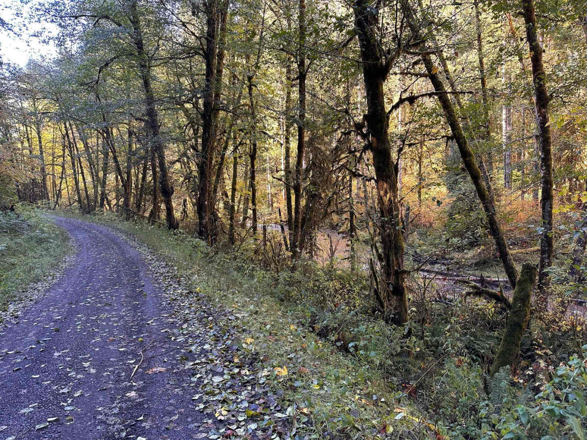 Butler Creek Mainline photo 4