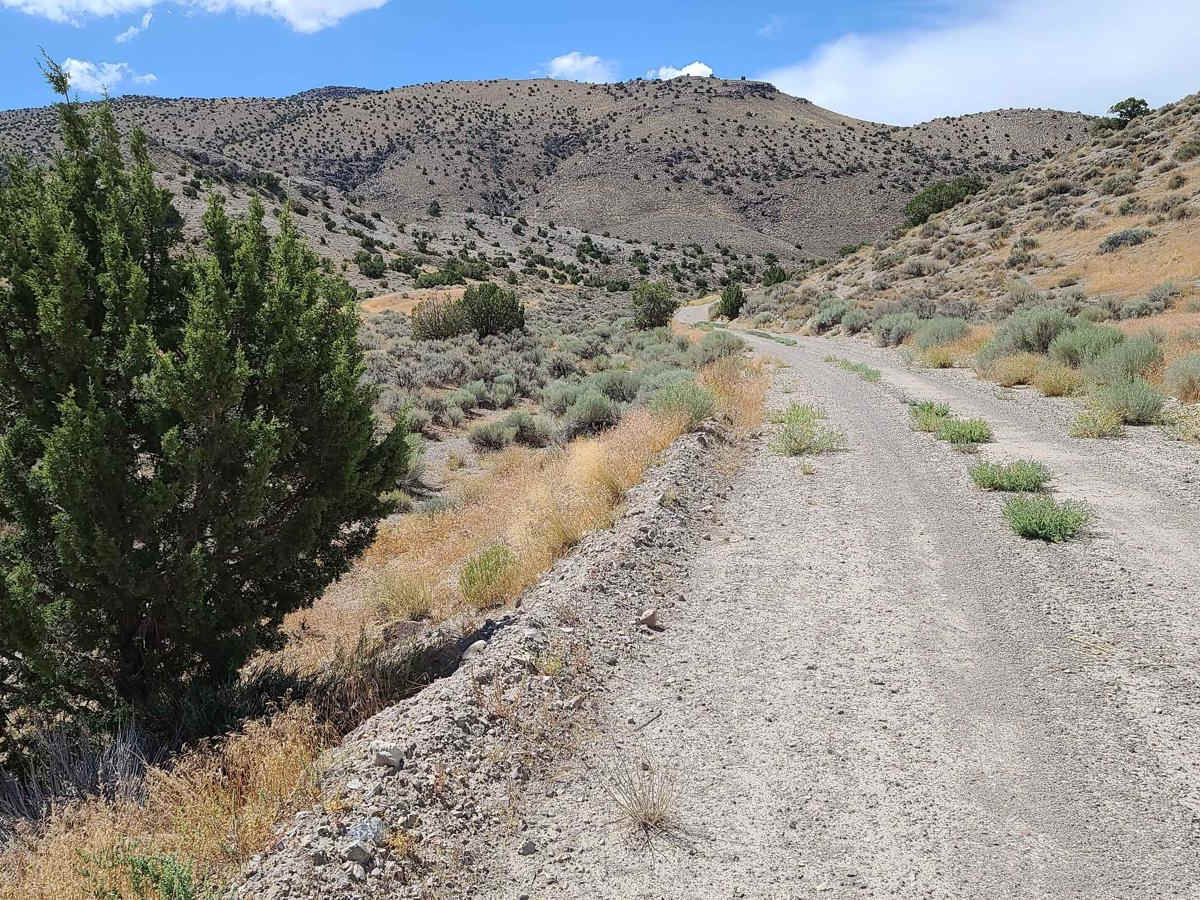 Fandangle Canyon photo 6