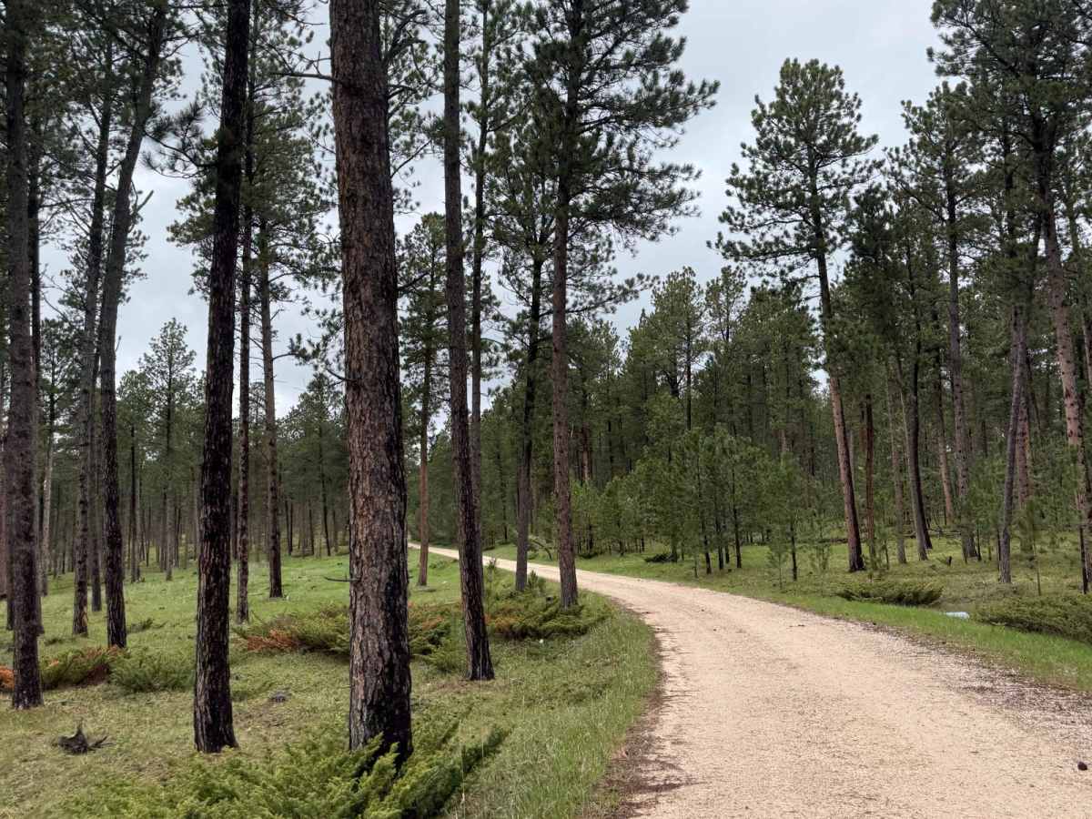 New Moon Loop photo 3