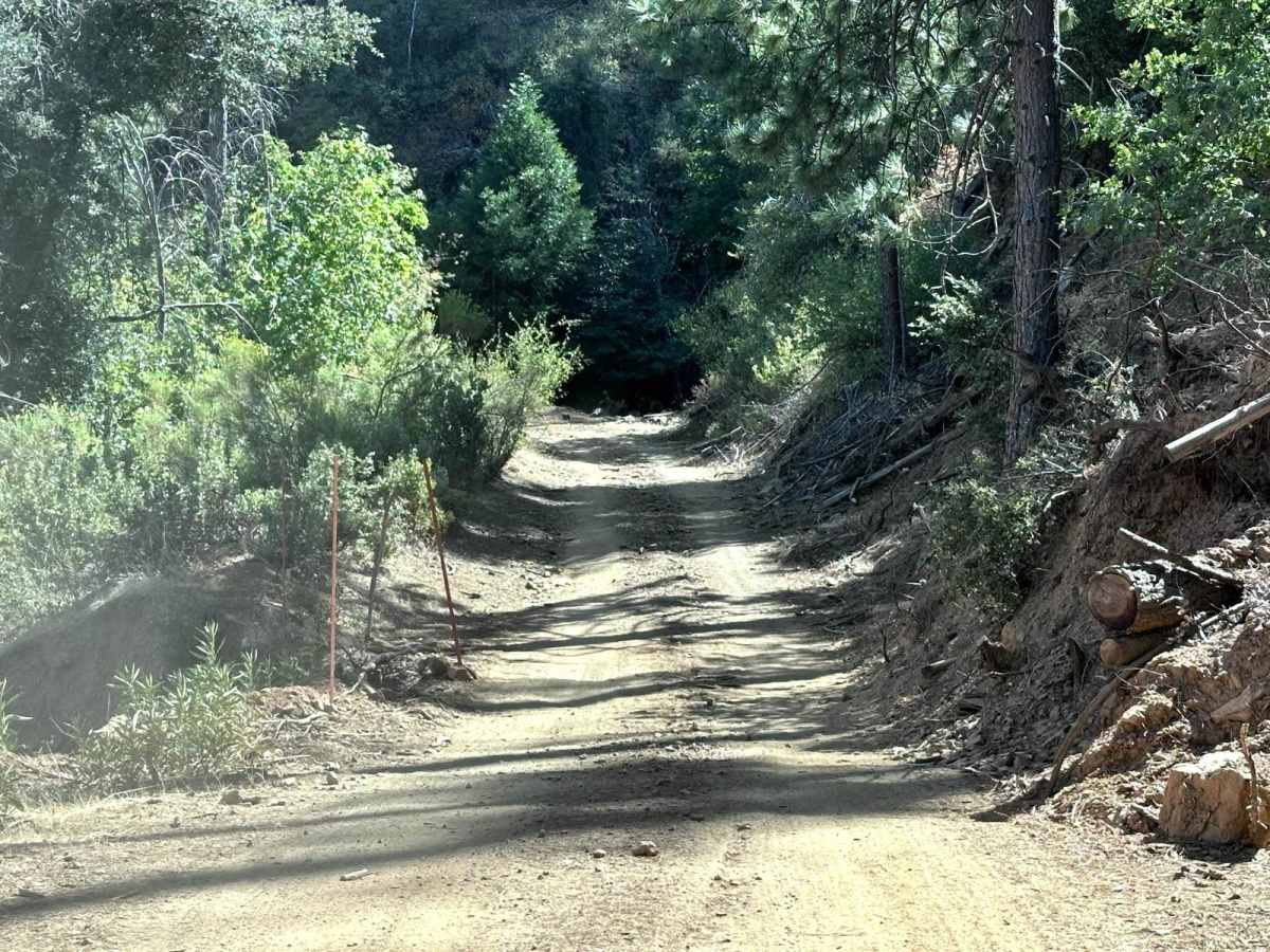 Packard Canyon Road photo 4