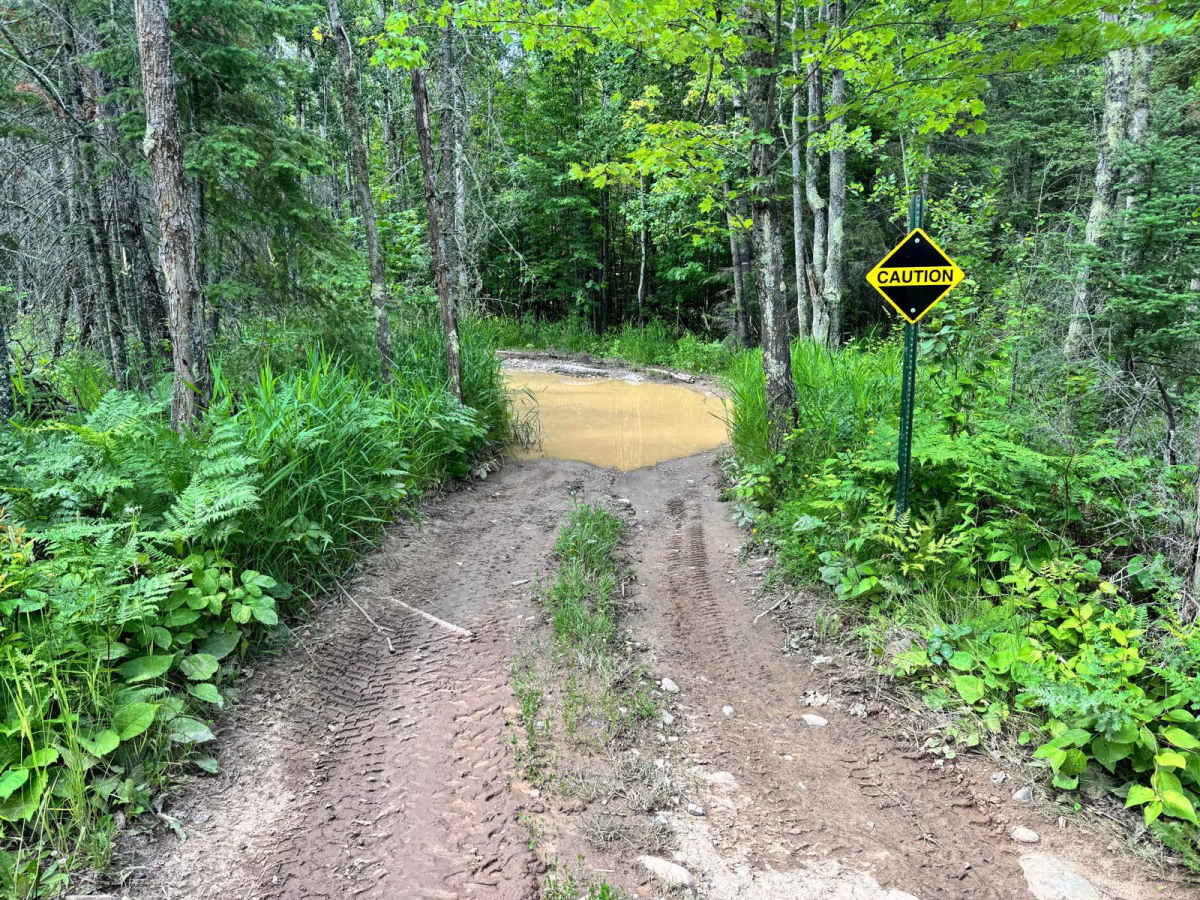 Leaf Lake Loop photo 6