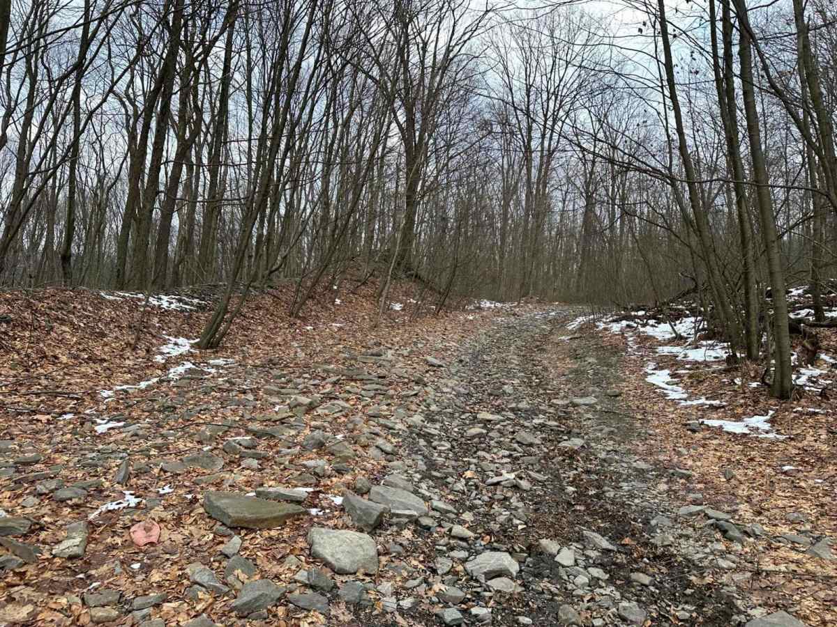 Ashland 83 photo 3