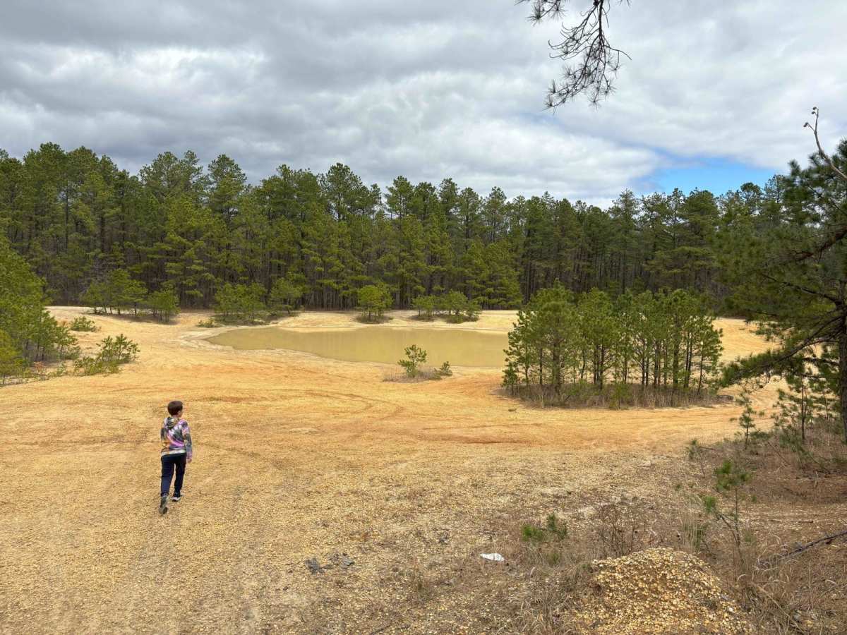 Bryant to Hays Road photo 3