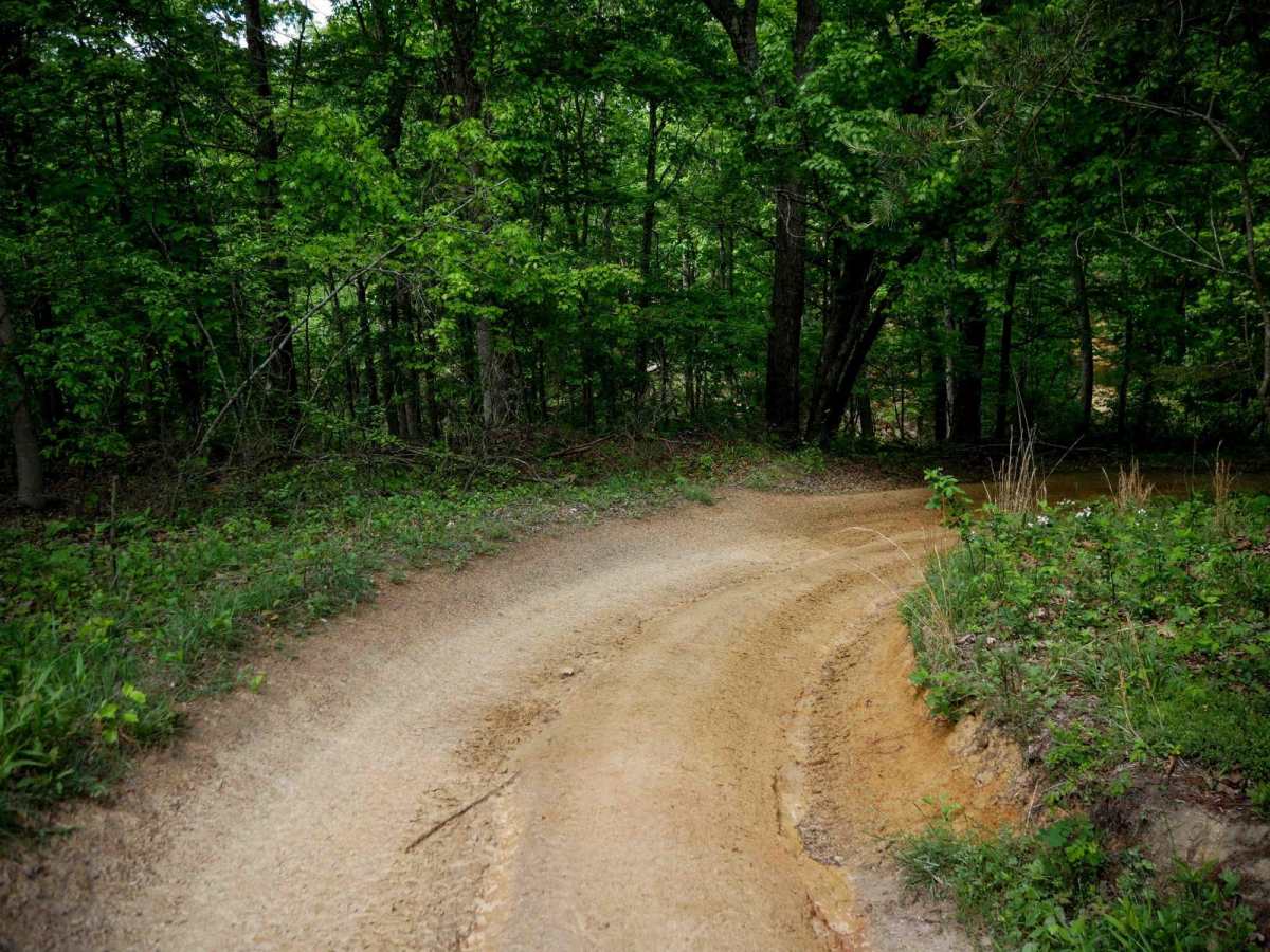 Trail 4 photo 3