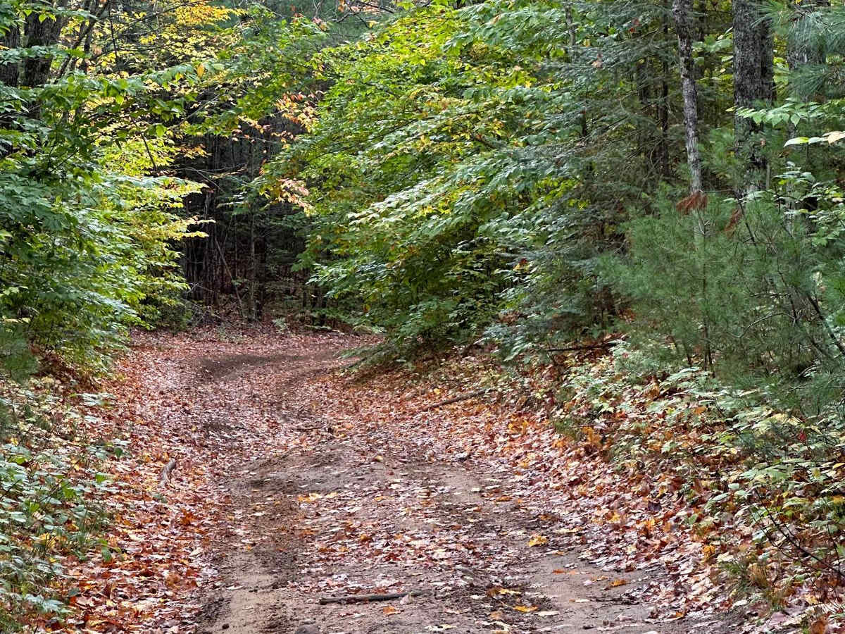 Widewaters Campgrounds - FS 2262 photo 3