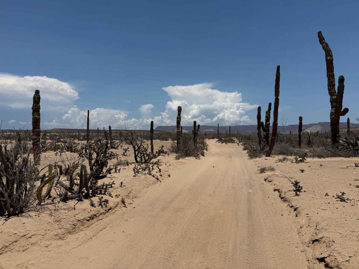 Loreto 500 Loop photo 6