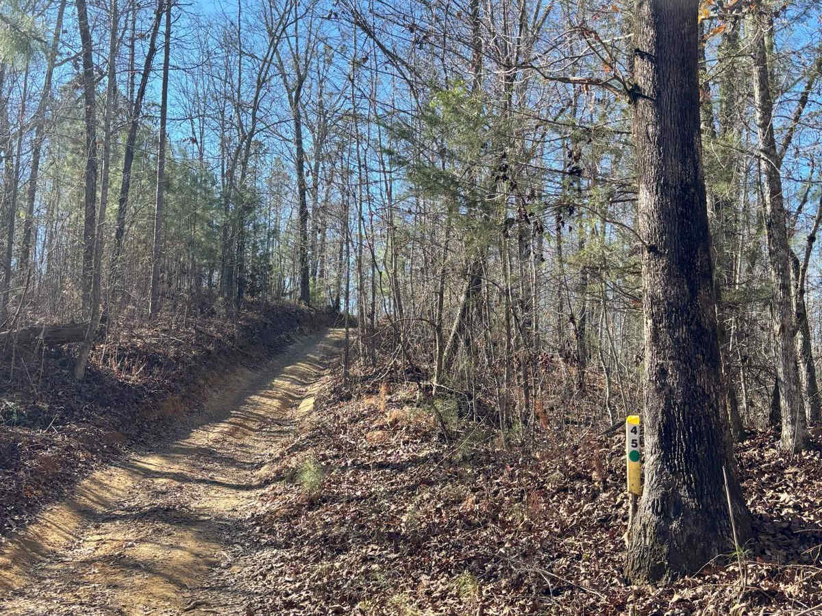 45 trail photo