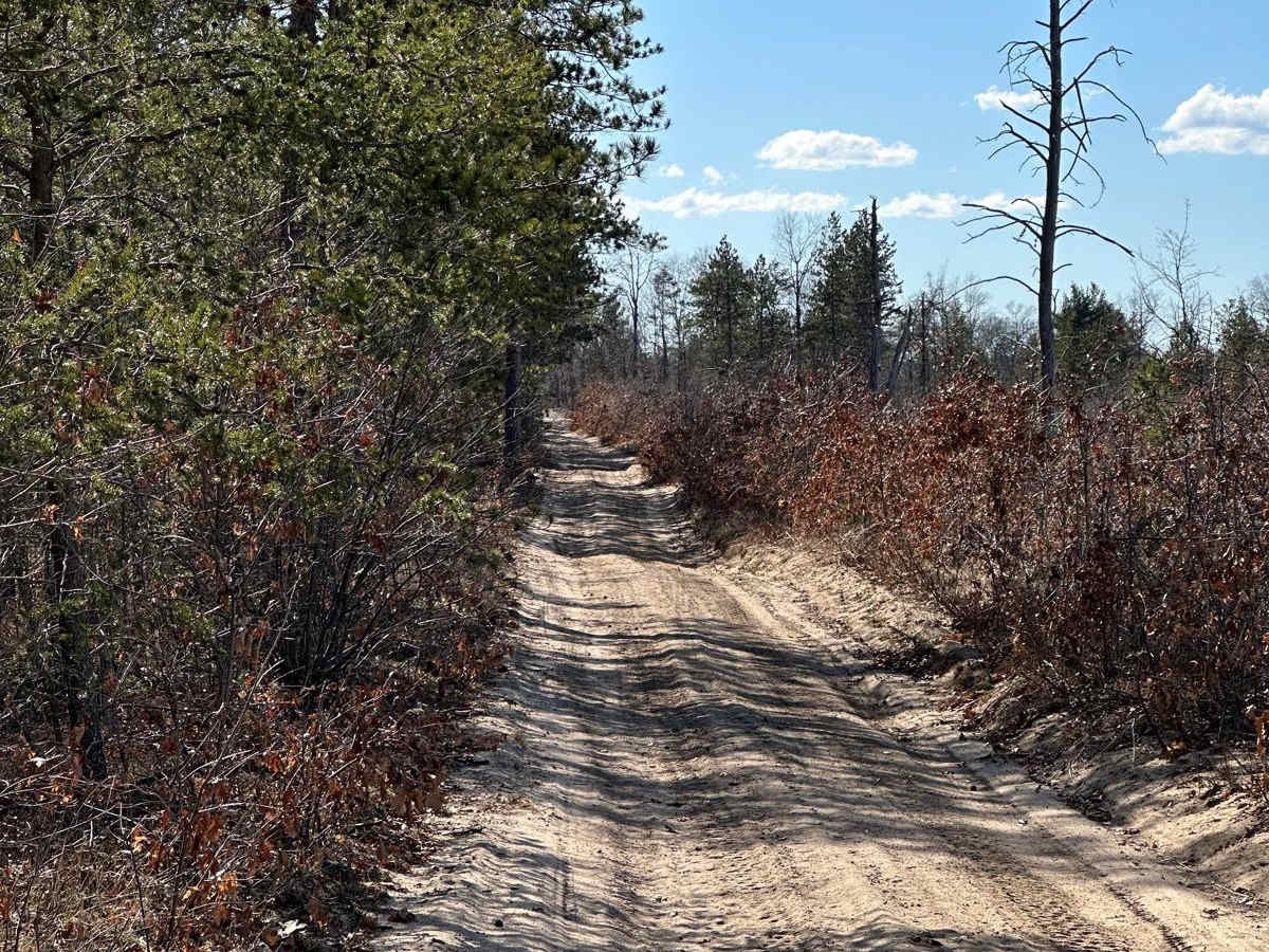 Pine Road photo 5