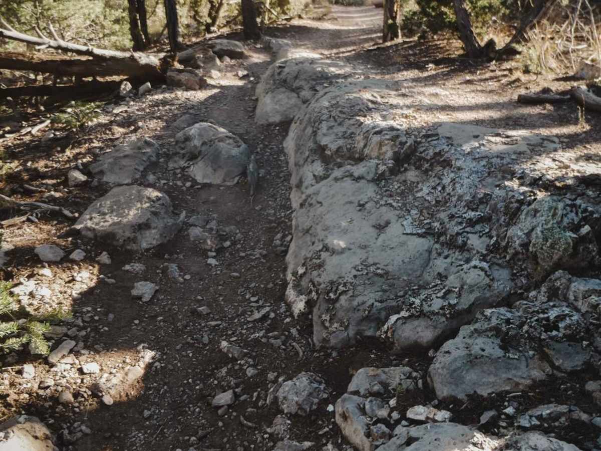 West Ridge trail photo