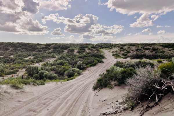 St. Anthony Sand Dunes Western Access