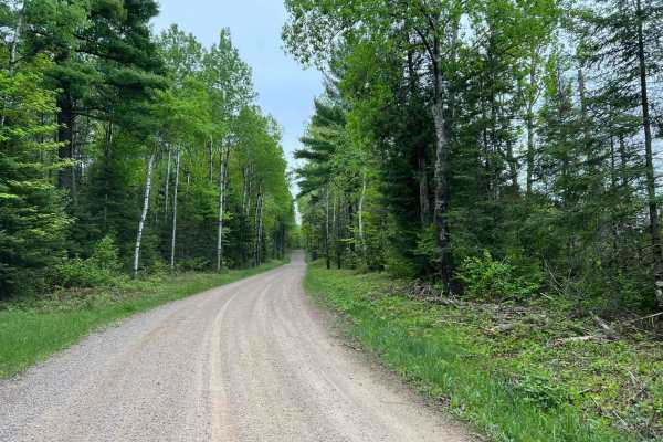 Wolf River Road Trail