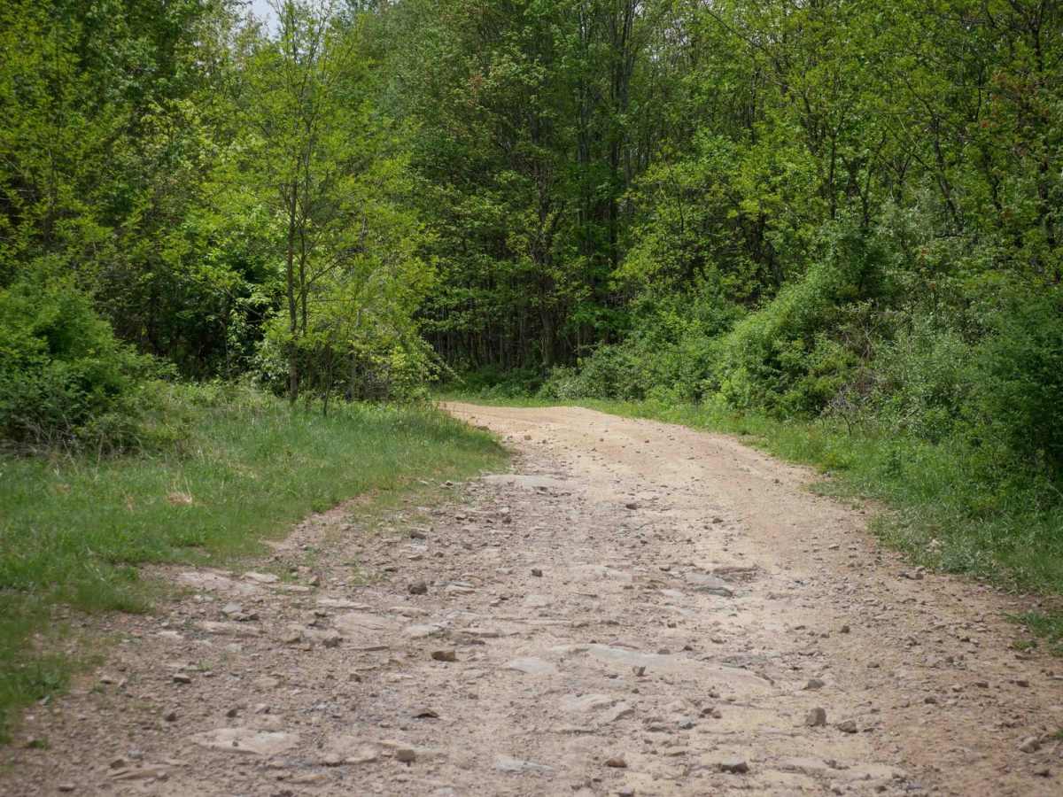 PC 19 trail photo
