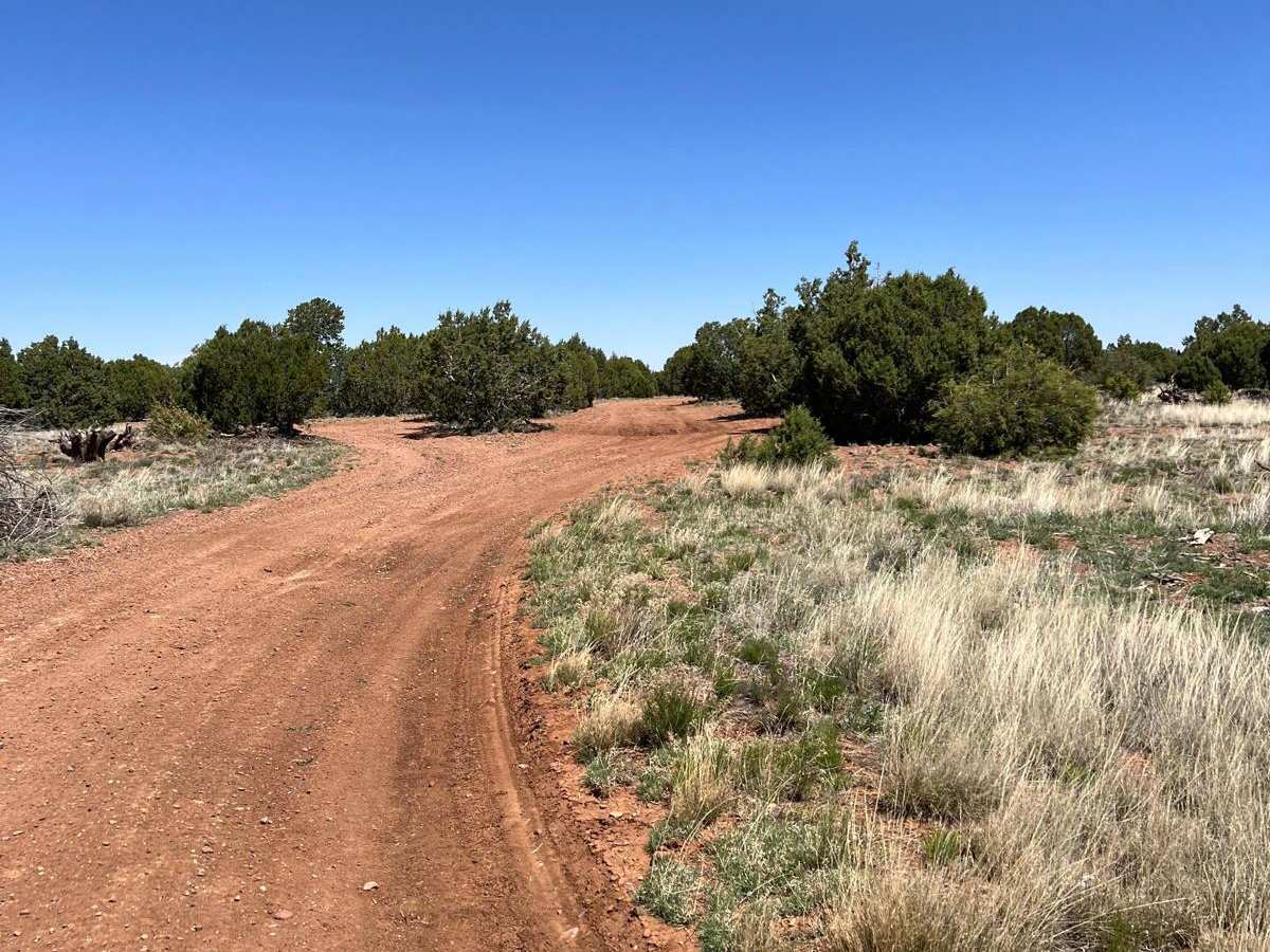 Antelope Shortcut photo 3