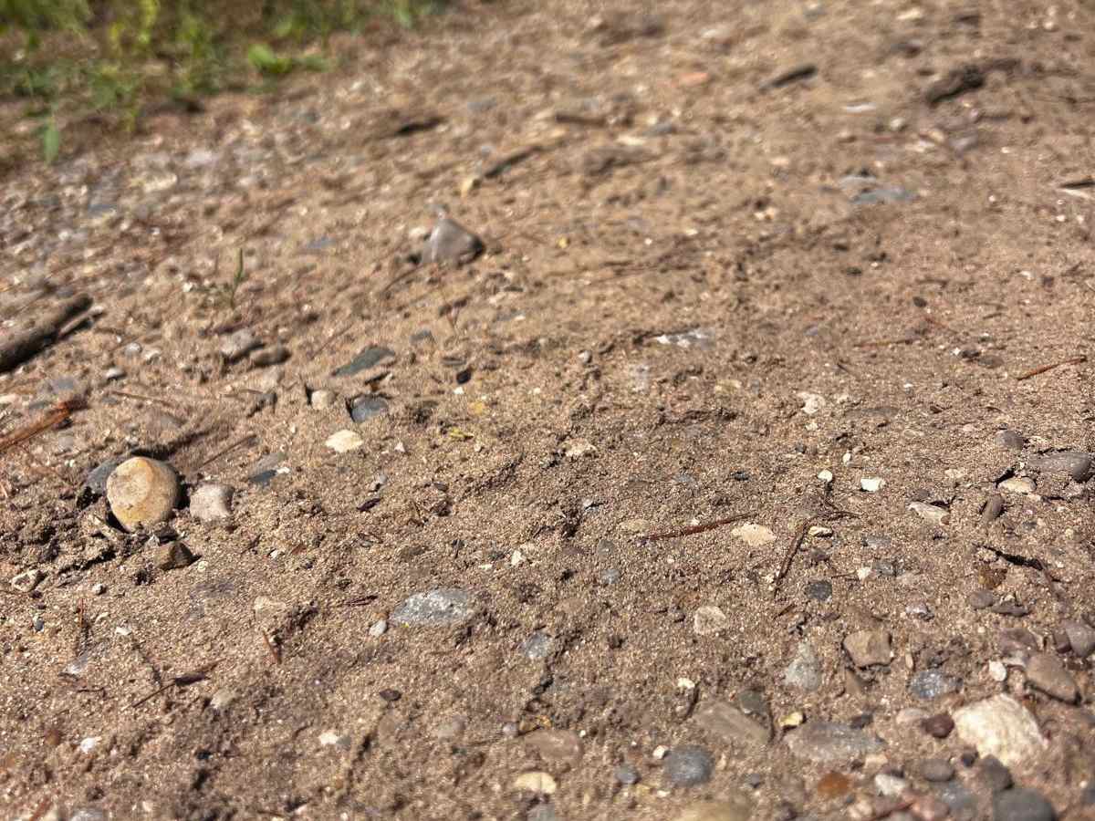 25 1/4 Trail photo 3