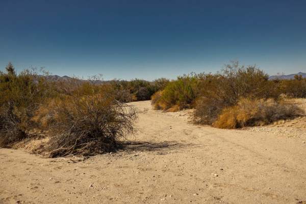 Bullard Wash South
