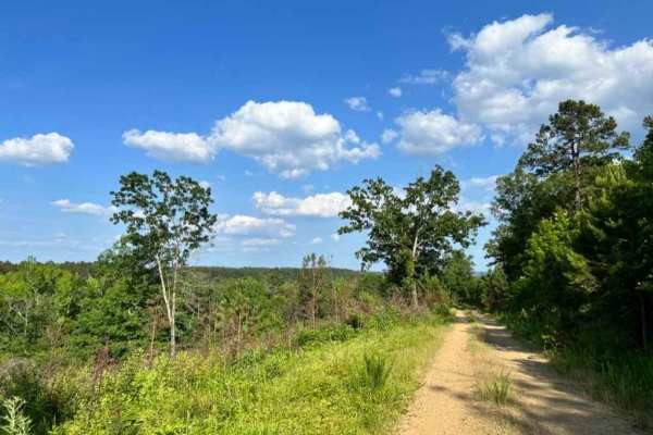 Buffalo Creek Camp