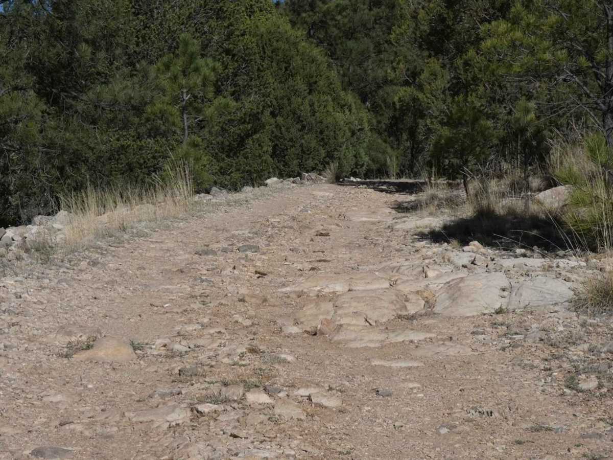 Pinon Long photo 5