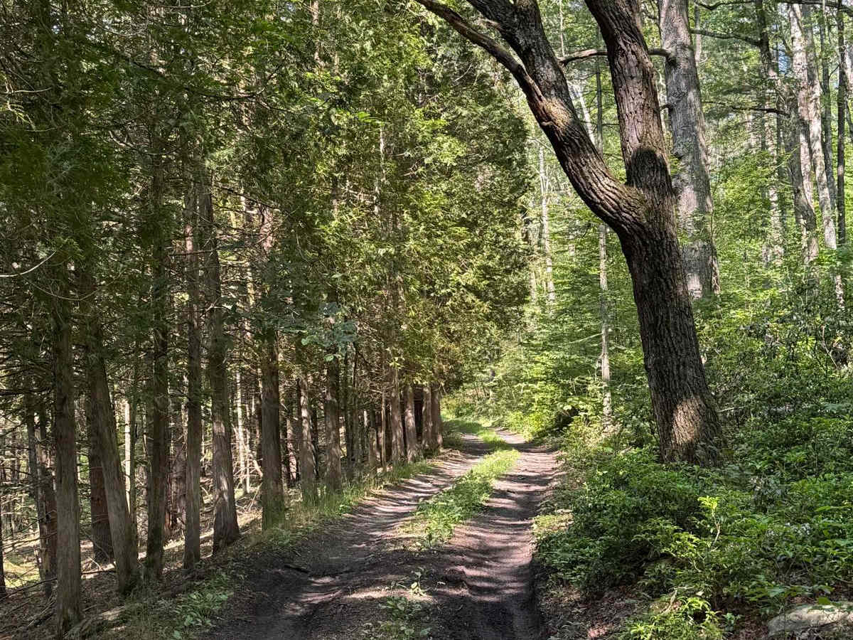 Eastern Boundary Trail photo 5