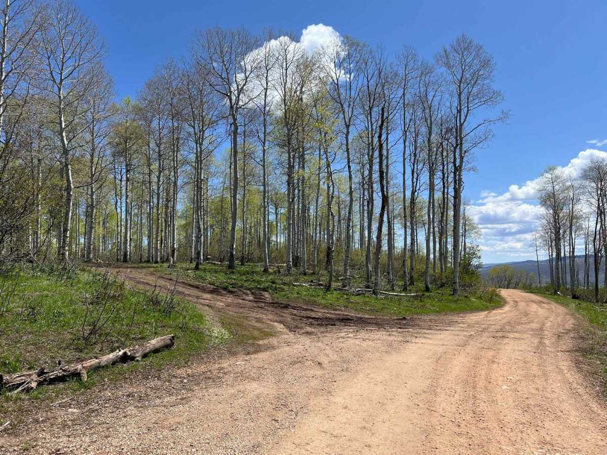 Kweeyahgut Creek Road photo 5