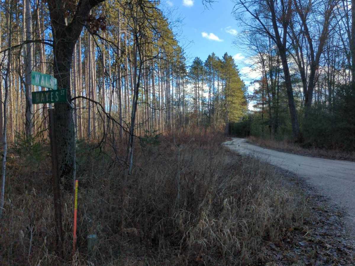 Manistee National Forest Hayes Road photo 5