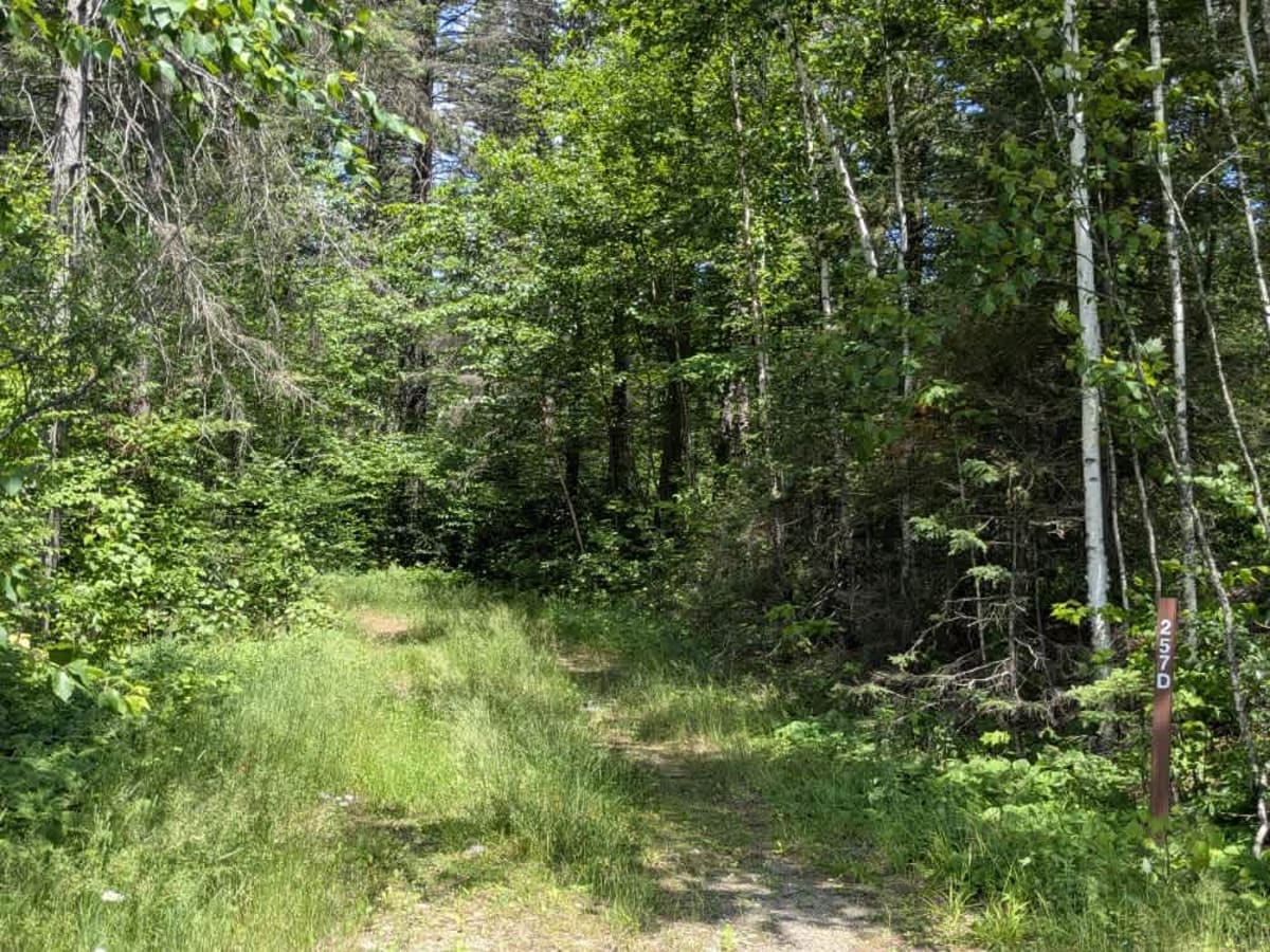 Old Angora Road photo 4