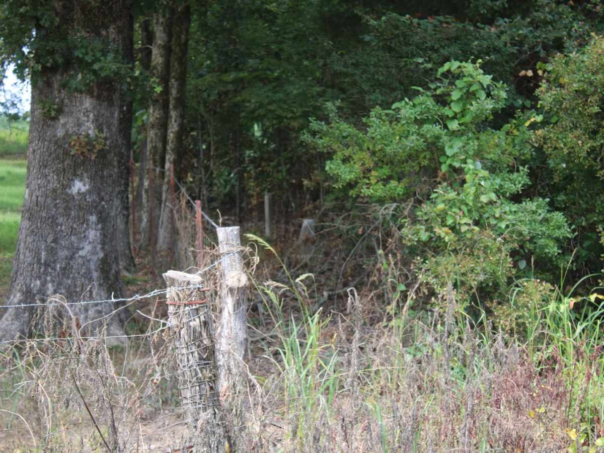Allen's Ferry Road photo 3