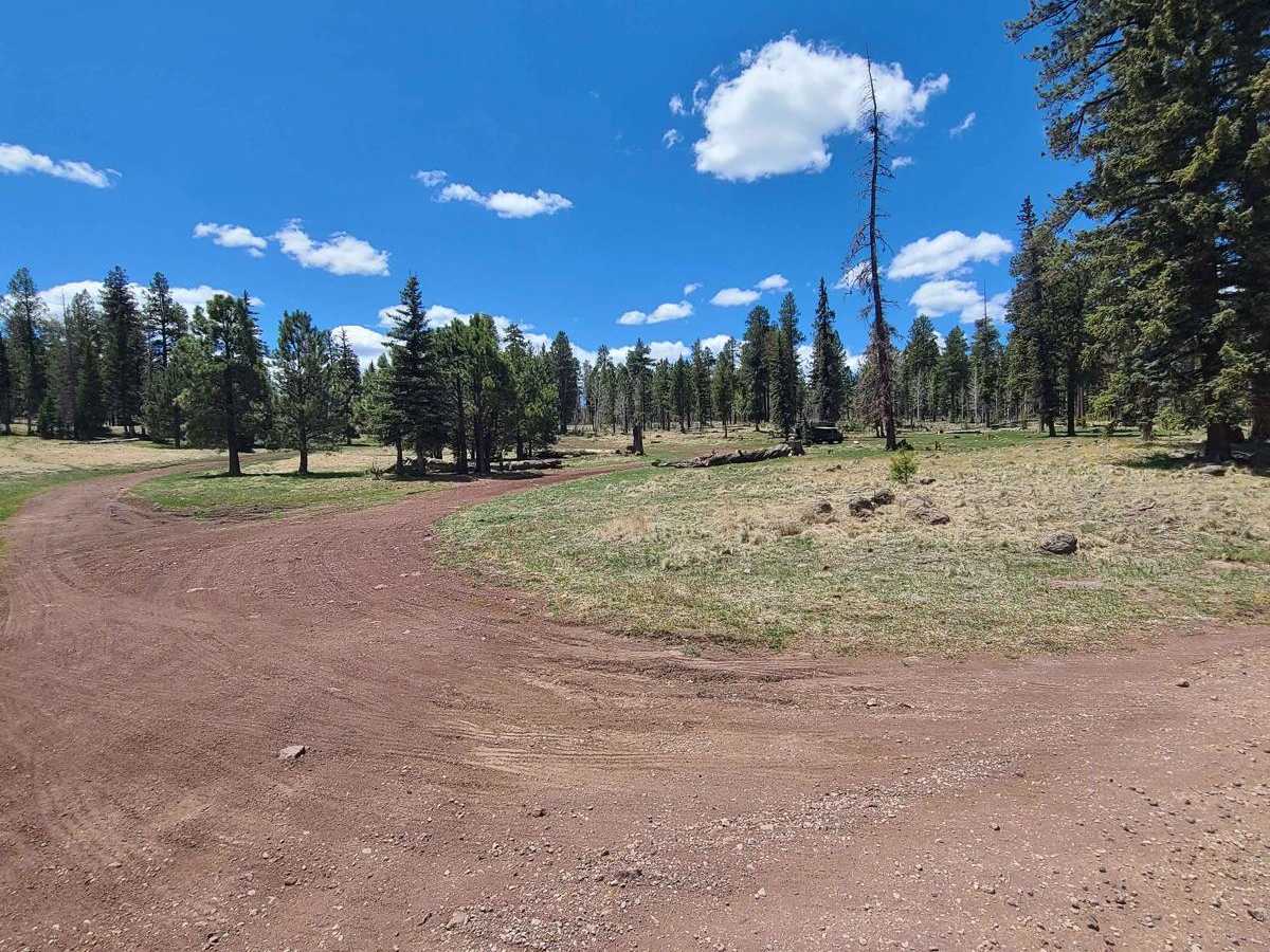 Forest Service Road 87 photo 5