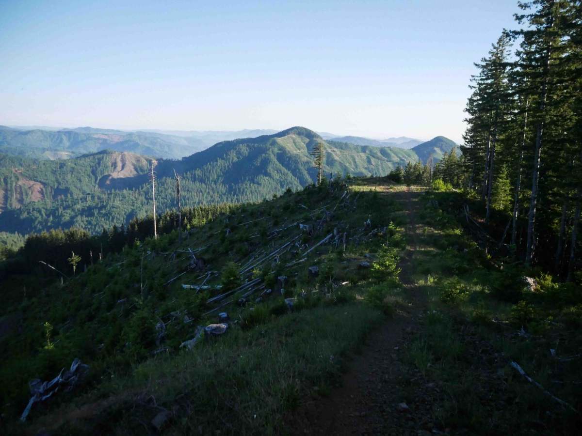#78 (Moderate) trail photo