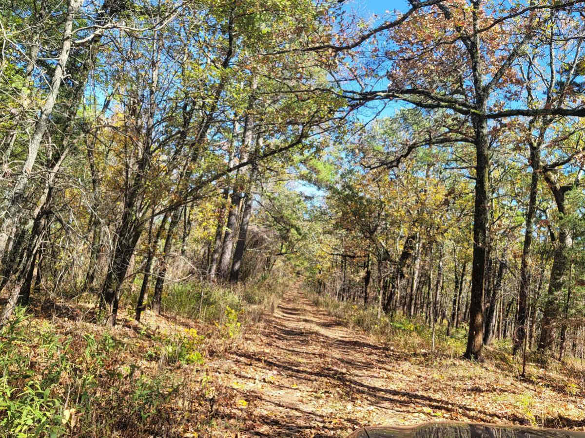Walker Mountain photo 6