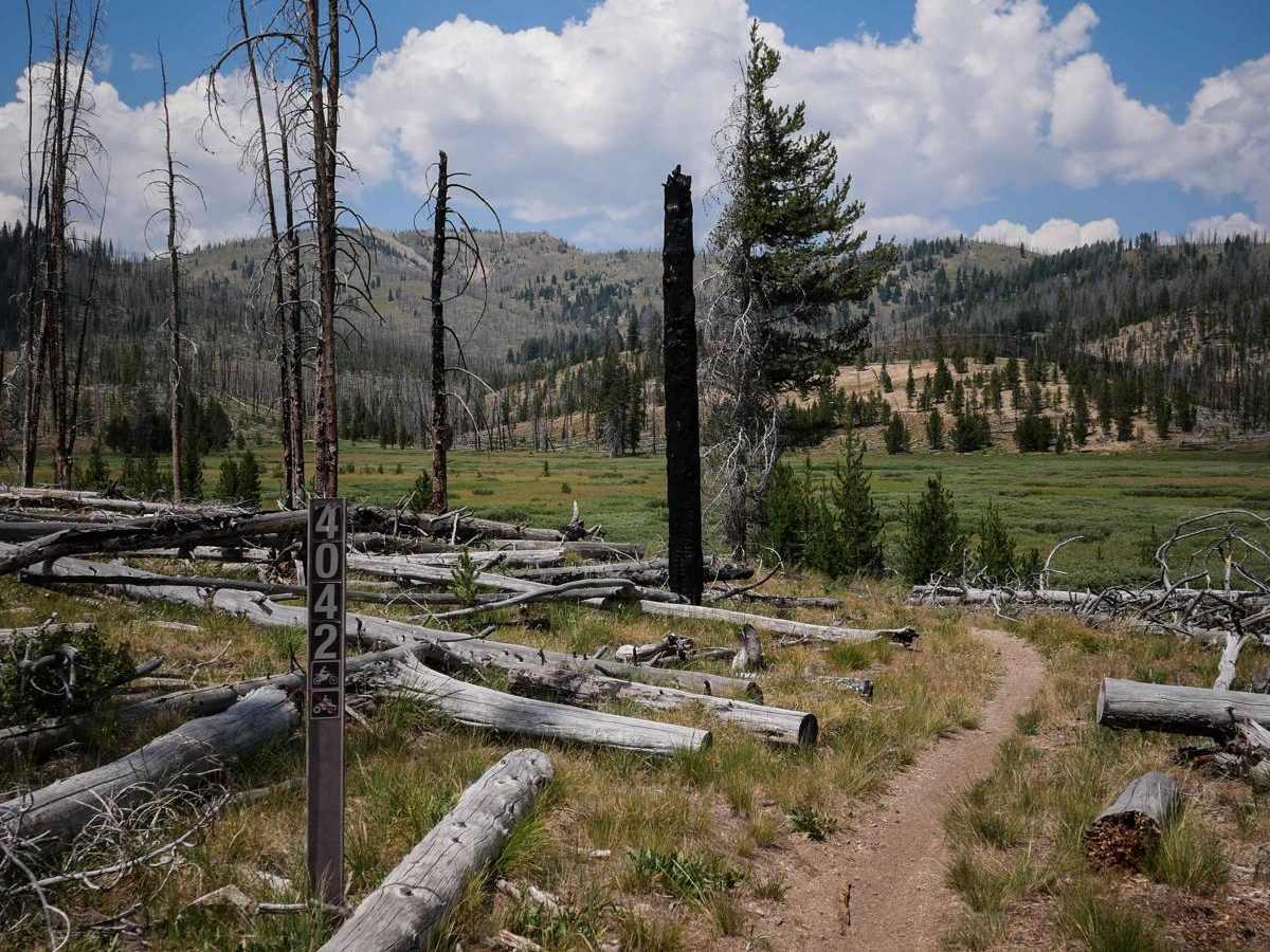 Little Basin Cutoff trail photo