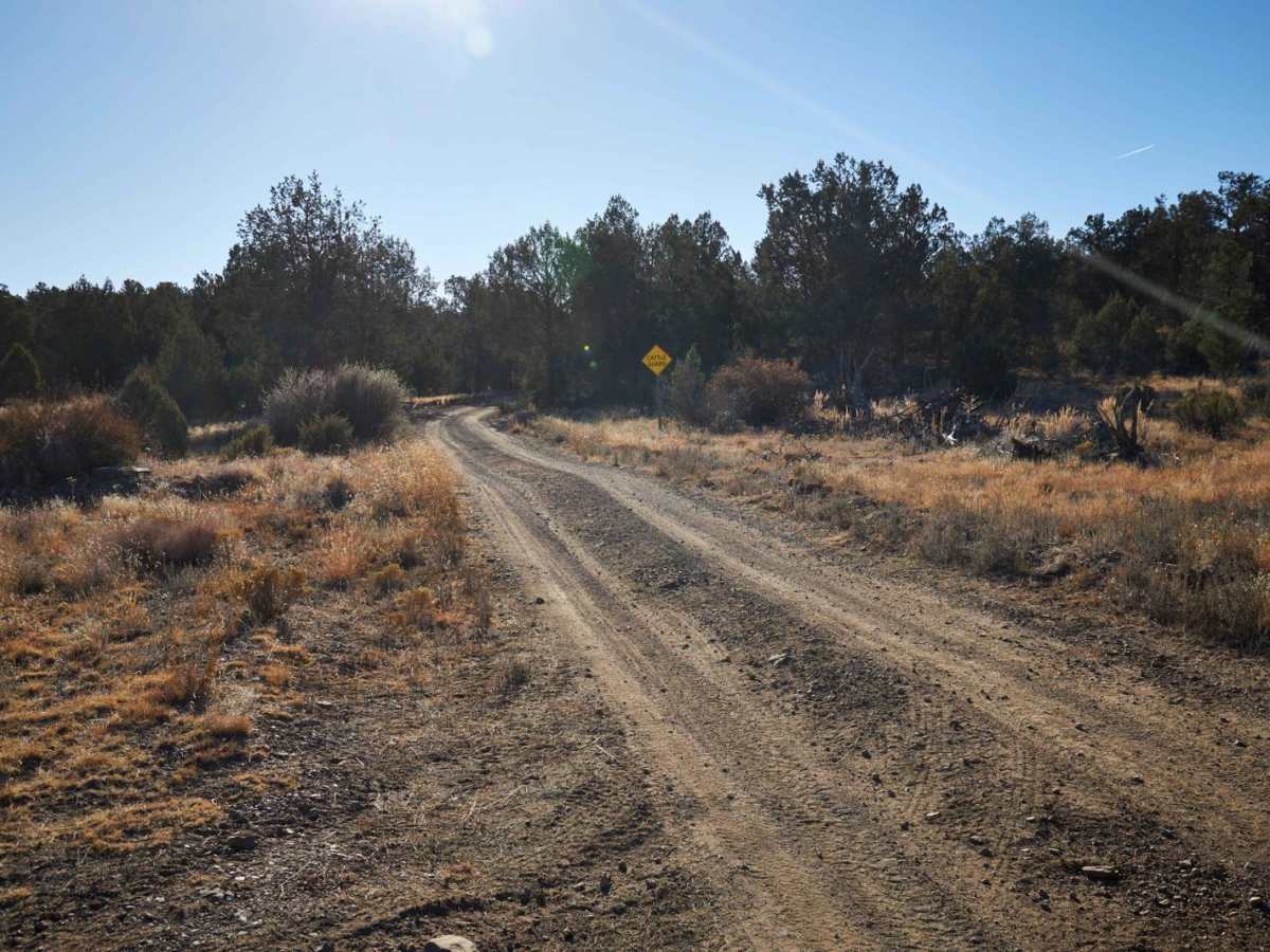 Walnut Creek photo 6