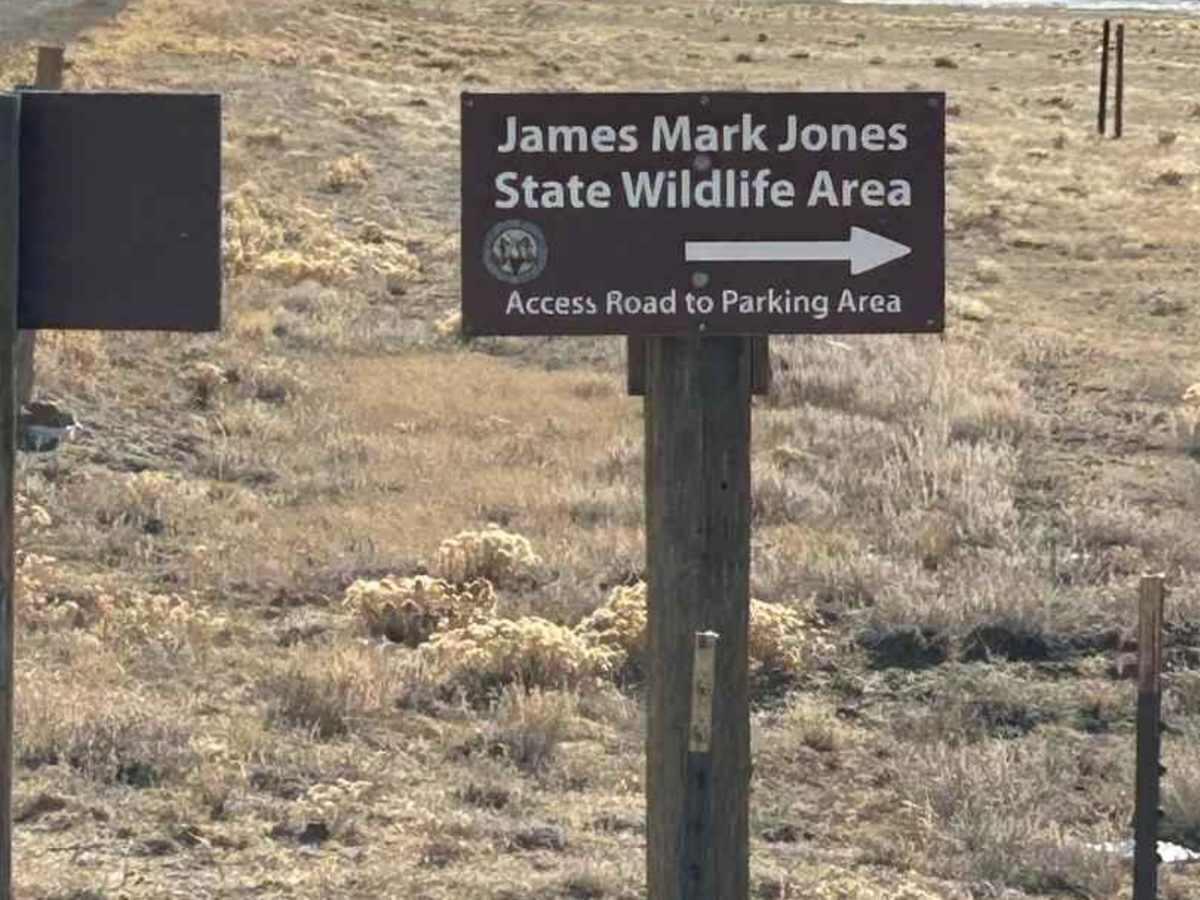 Meadow Drive/ James Mark Jones Wildlife Area trail photo
