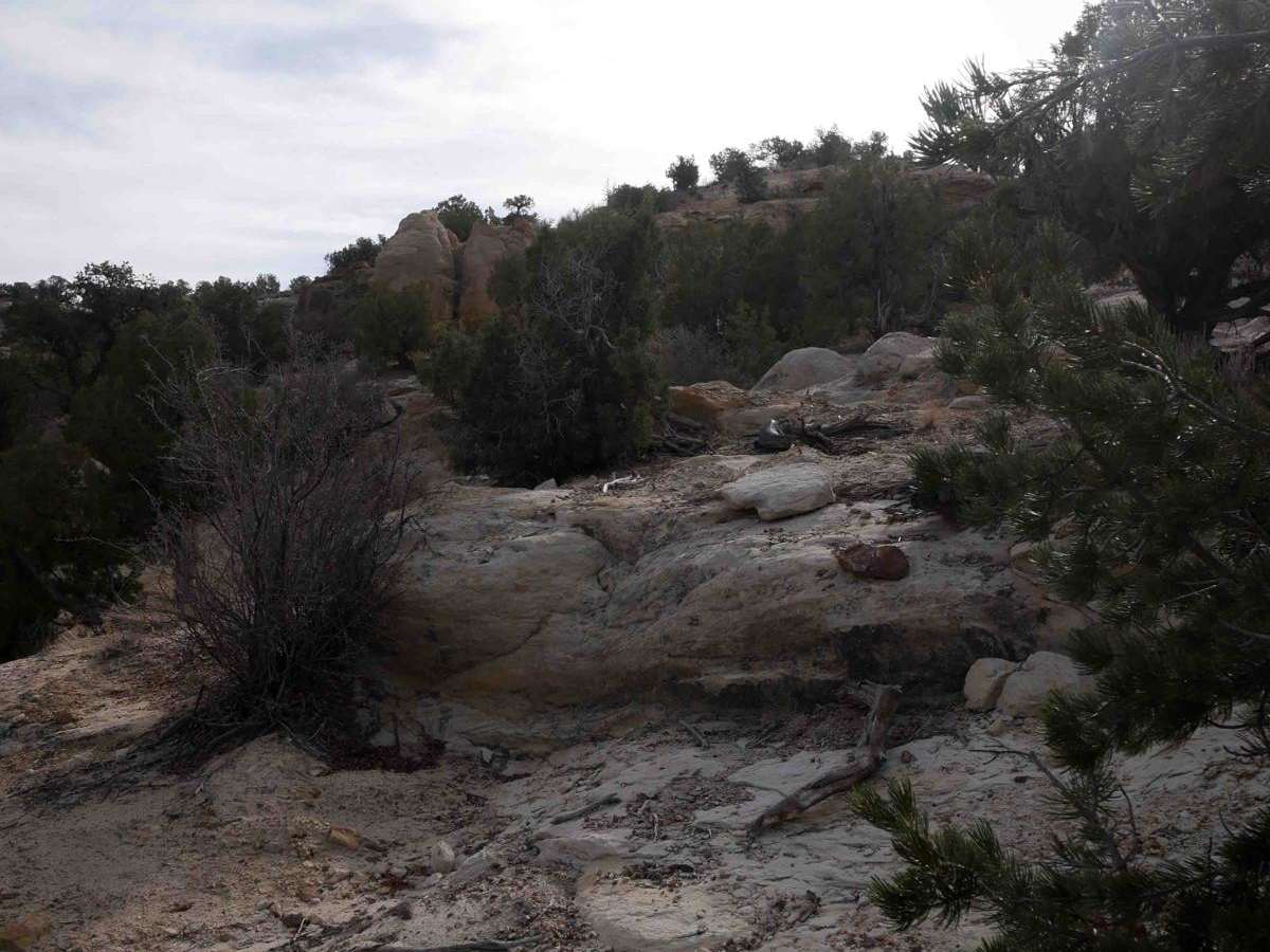 7 Waterfalls photo 6