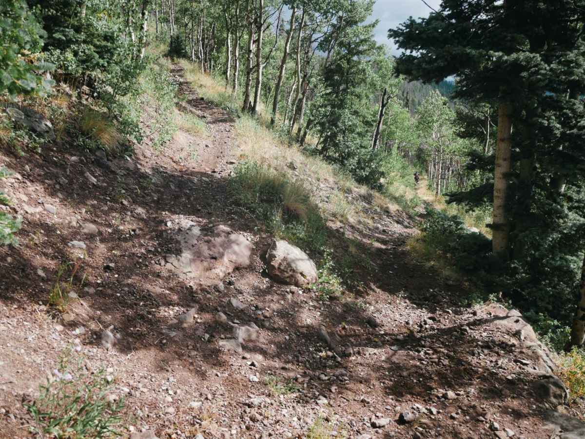 Valdez Trail photo 5