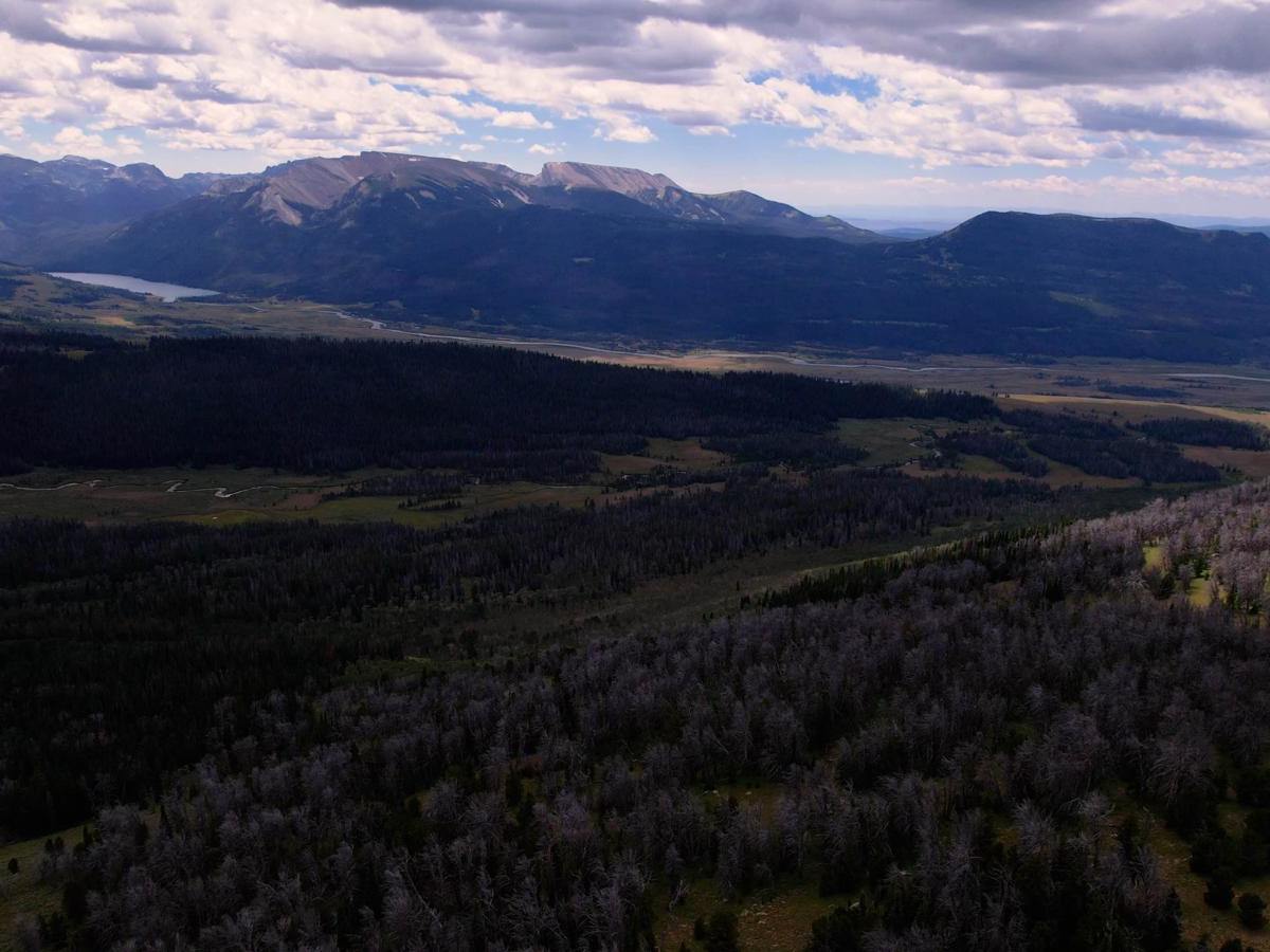 Grind up Pinon Pass trail photo