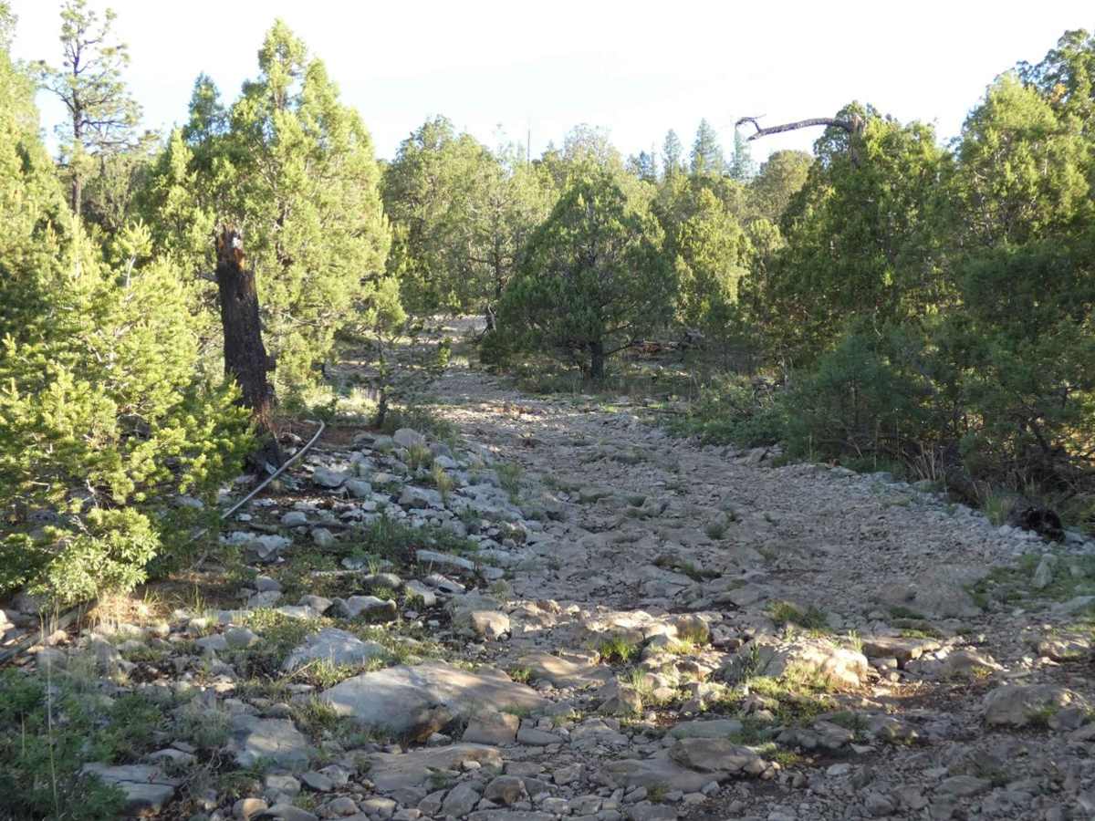 James Ridge photo 5