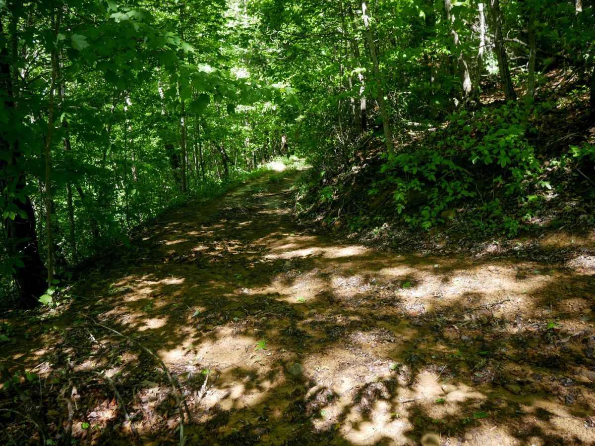 CC86 photo 2