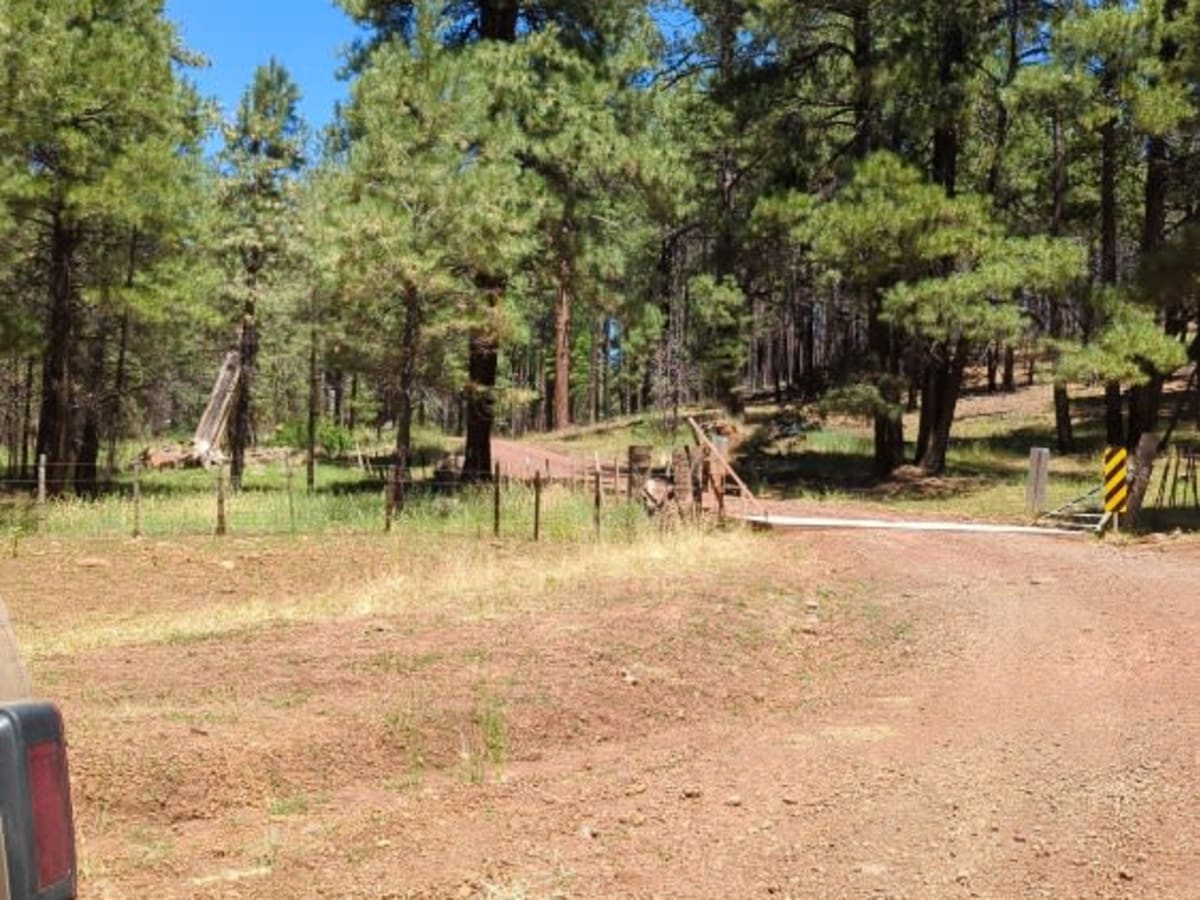 FS 538 Secret Mountain Road photo 4