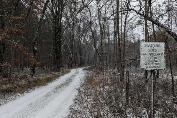 Forest Road 5043