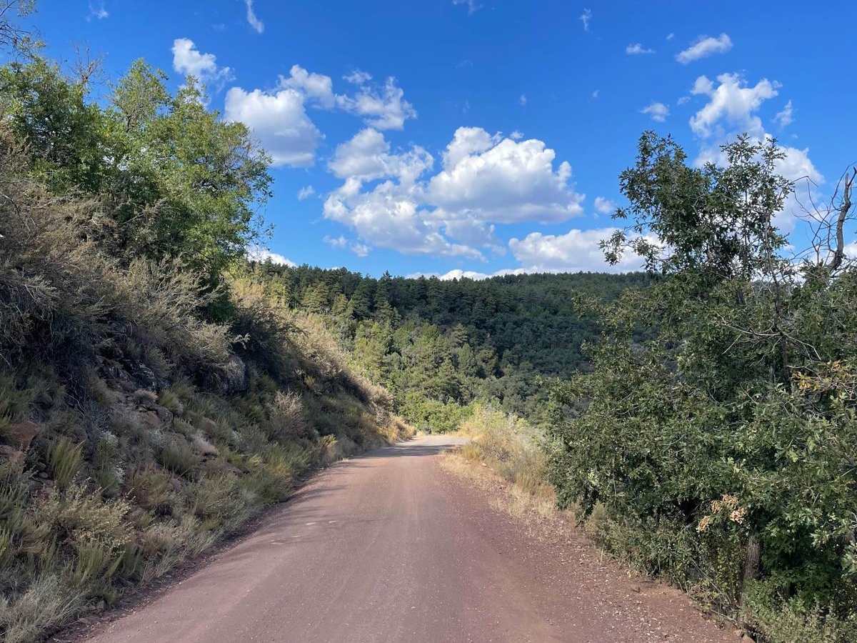 Stoneman Lake Access Road photo 5