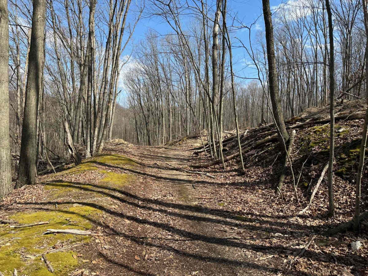 Ashland 107 photo 6