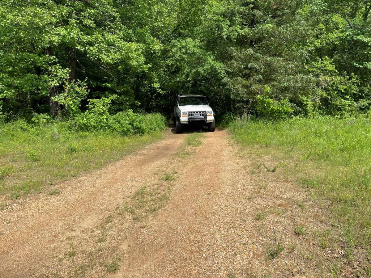 Lone Star School Road (FS 3824) photo 6
