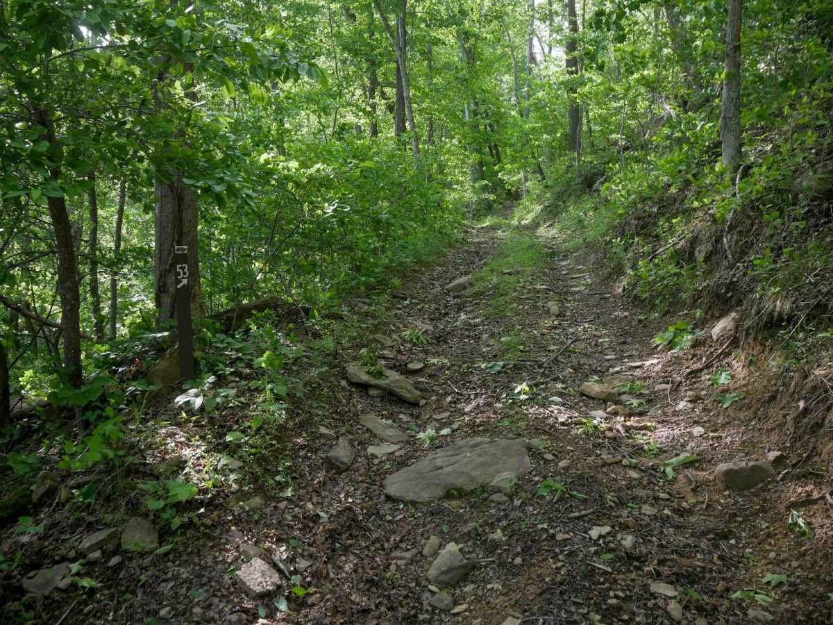 RV53 photo 3