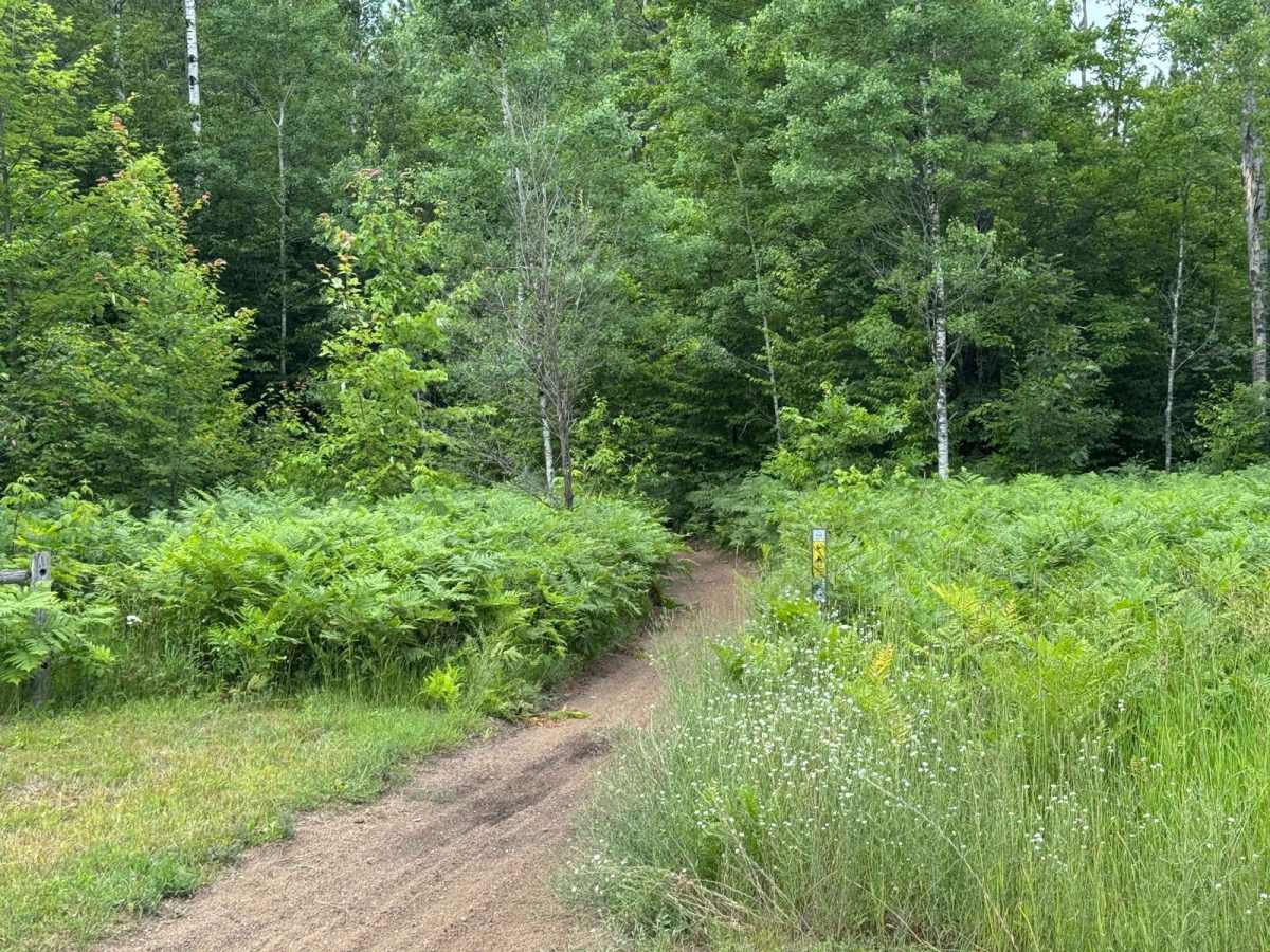 Kalkaska ORV Trail - South photo 4