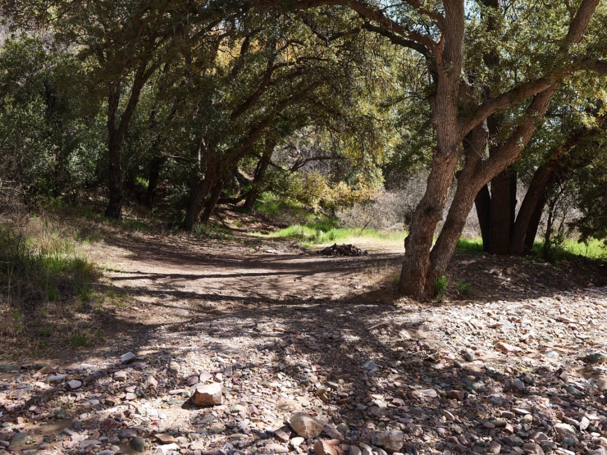 Ascent from Peppersauce Canyon photo 5