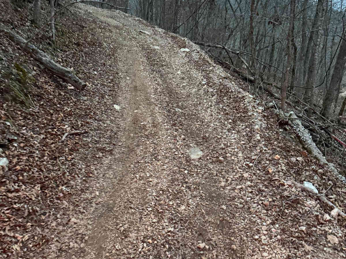 Yellow 356 trail photo