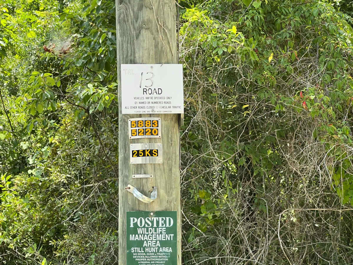 Citrus Wildlife Management | Trail 13 photo 2