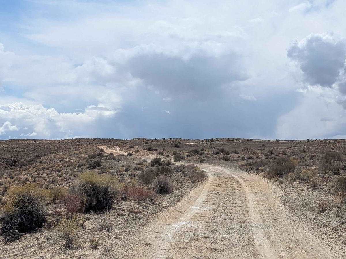 Little Wedge Road photo 3
