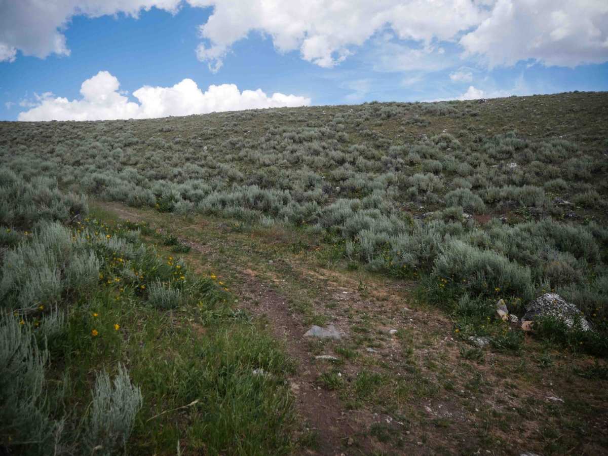 Rocky Peak photo 6